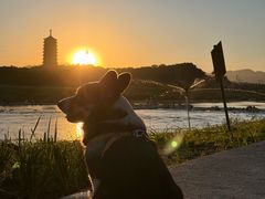 -永定河休闲森林公园