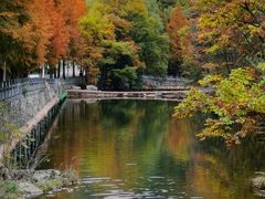 -洛阳白云山景区