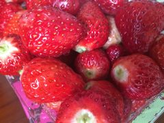 -崂山菜市场(上港小区店)