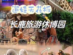 -长鹿旅游休博园