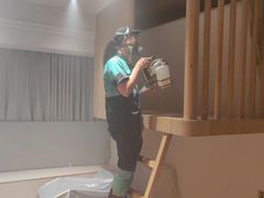 -叶子环保专业除甲醛(广州总部)