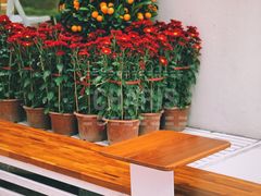 -Line 咖啡(石厦花园店)