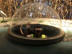 -上海长江河口科技馆