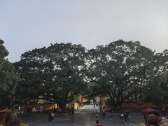 -桂林独秀峰王城景区