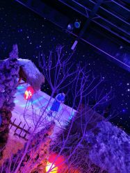 -圣名游乐城冰雪大世界