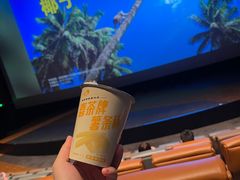 -金逸影城(宝安大仟里IMAX激光店)