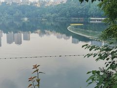 -重庆彩云湖湿地公园