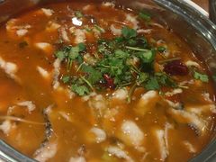 -龙梅肥肠鱼(明瓦廊店)