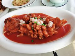 -云中小雅