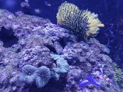 -成都浩海立方海洋公园