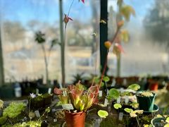 -国家植物园南园