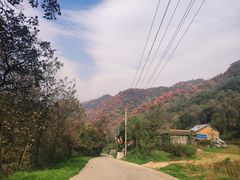 -西安祥峪森林公园