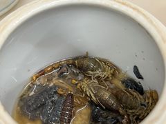 蝎子党参乌鸡汤-国英炖品店(甲子路店)