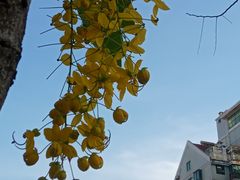 -福建师范大学(仓山校区)