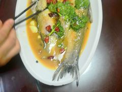 -丹水桥地锅鱼·翘嘴鲌·地方特色全鱼宴(丹江口大坝店)