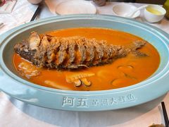 -阿五黄河大鲤鱼(英协路店)