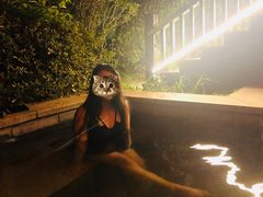 -咸宁万豪温泉谷度假区