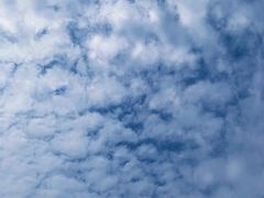 -映月湖中央公园