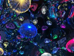 -上海梵高星空艺术馆(南京路旗舰店)