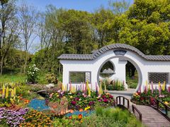 -上海共青森林公园