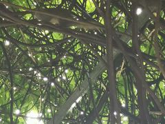 -合肥野生动物园