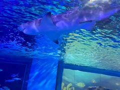 -常州海昌海洋探索馆