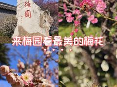 -梅园