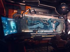 -奥兰多迪士尼动物王国乐园