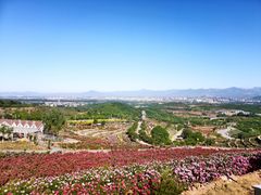 -密云玫瑰情园