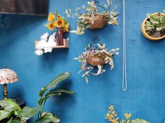 -Golden Lily河内巴黎法越料理餐厅(建国西路店)