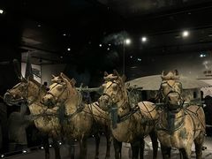 -秦始皇帝陵博物院-丽山园