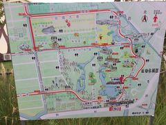 -上海长兴岛郊野公园