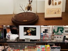 -茑屋书店(天目里店)
