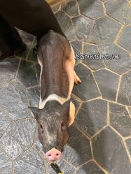 -Zoolung Zoolung动物主题公园(海信广场店)