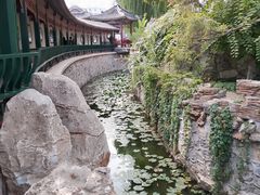-莲池书院博物馆