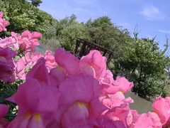 -上海吴淞炮台湾国家湿地公园