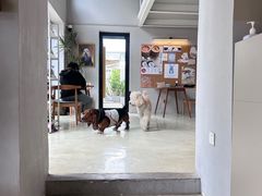 -小意思咖啡店(草桥店)