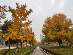 -西安世博园