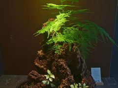 -水之惠鲜鱼料理(王府大街店)