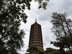 -八大处公园