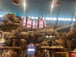 -卡通尼·Safari非洲探索乐园·生日会(金桥国际商业广场店)