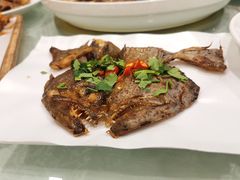 -听涛雅苑百味饺子老家菜馆
