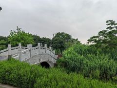 -王借岗森林公园