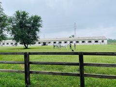 -北京群众马术培训基地