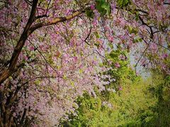 -南丰汇(新港东路店)