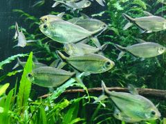 -上海海洋水族馆