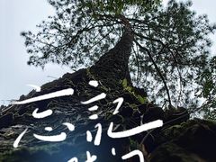 -庐山风景名胜区