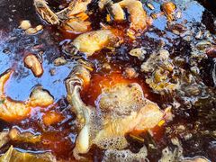 -黑龙滩生态鱼火锅(百寿路店)