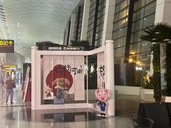 -郑州新郑国际机场-T2航站楼