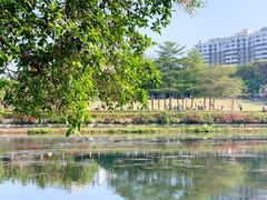 -深圳龙潭公园
